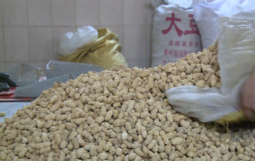 春节临近 龙岩咸酥花生成紧俏年货