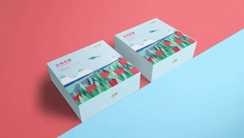糕点的包装早该这么设计了 厦门包装的创新与美学